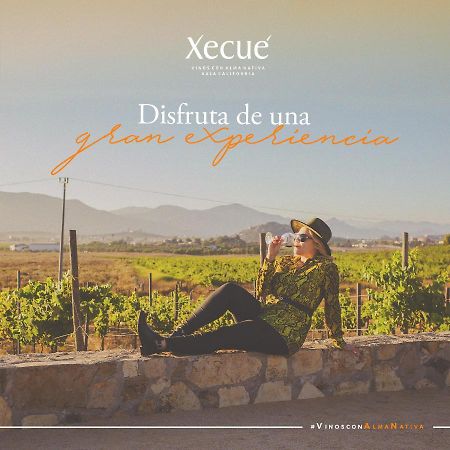 Vinos Xecue Hotel Ensenada Bagian luar foto