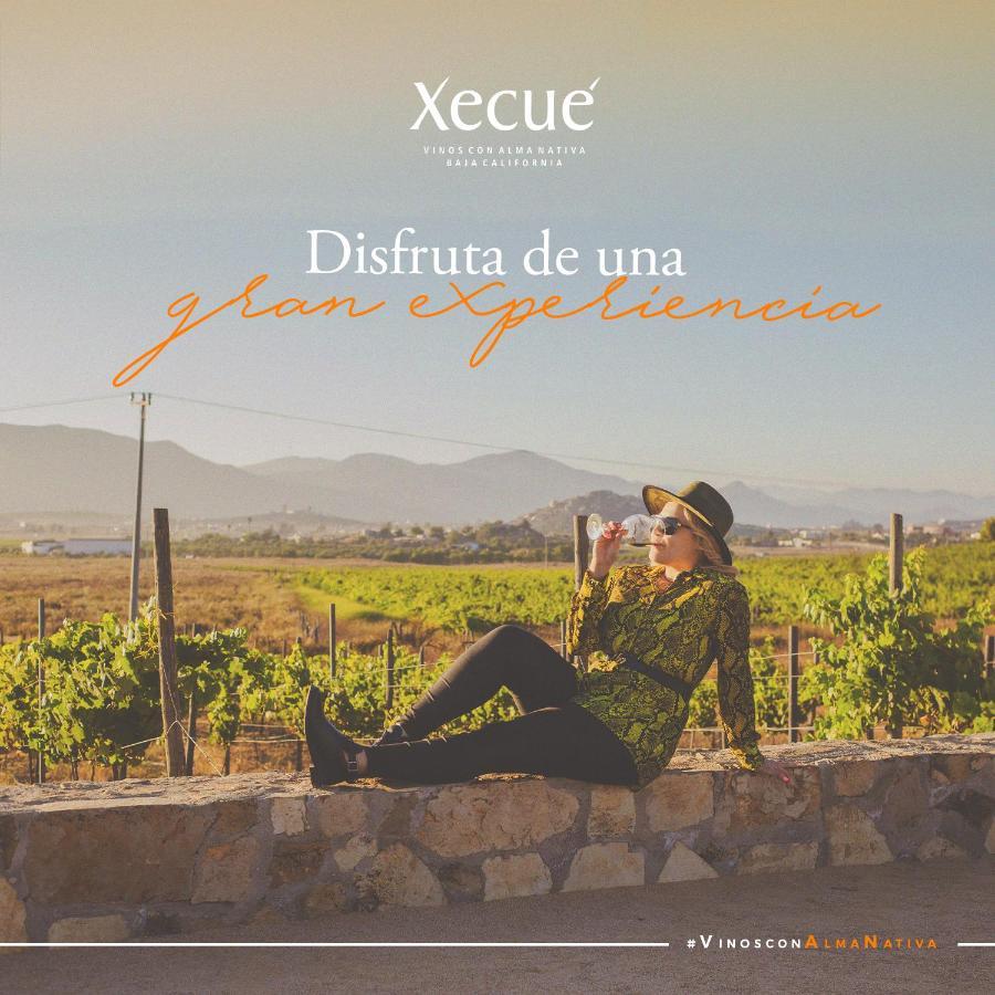 Vinos Xecue Hotel Ensenada Bagian luar foto
